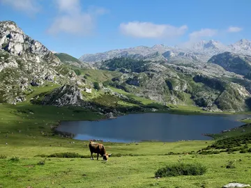 Lagos de Covadonga Lagos de Covadonga
