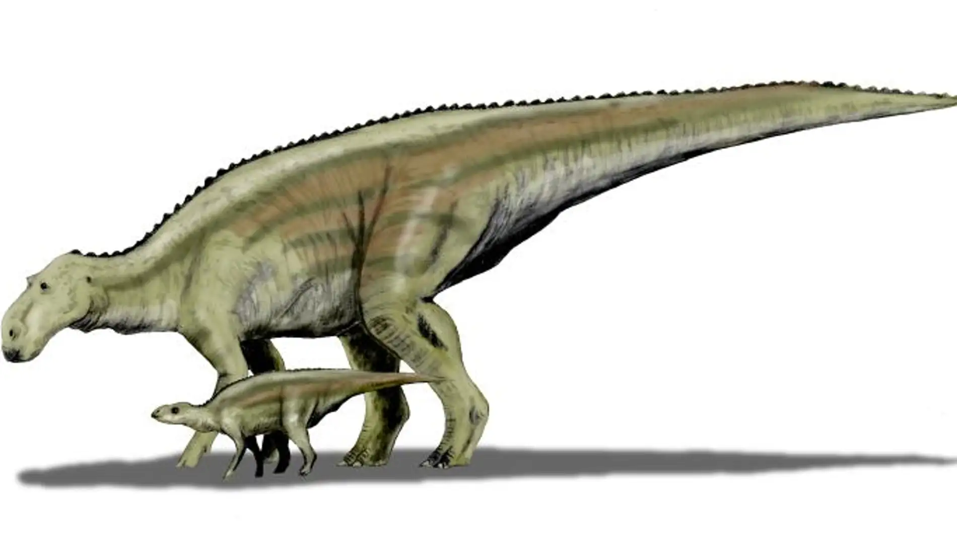 Reconstrucción de Maiasaura peeblesorum