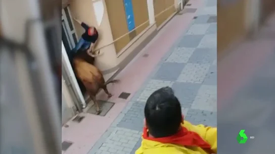 toro toro