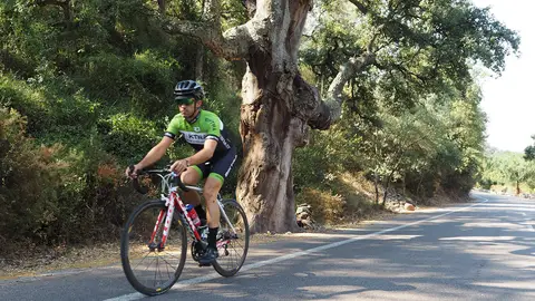 Rutas Cicloturismo. Castellón de la Plana Para los que aman hacer turismo pedaleando
