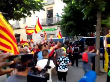 mataro mataro