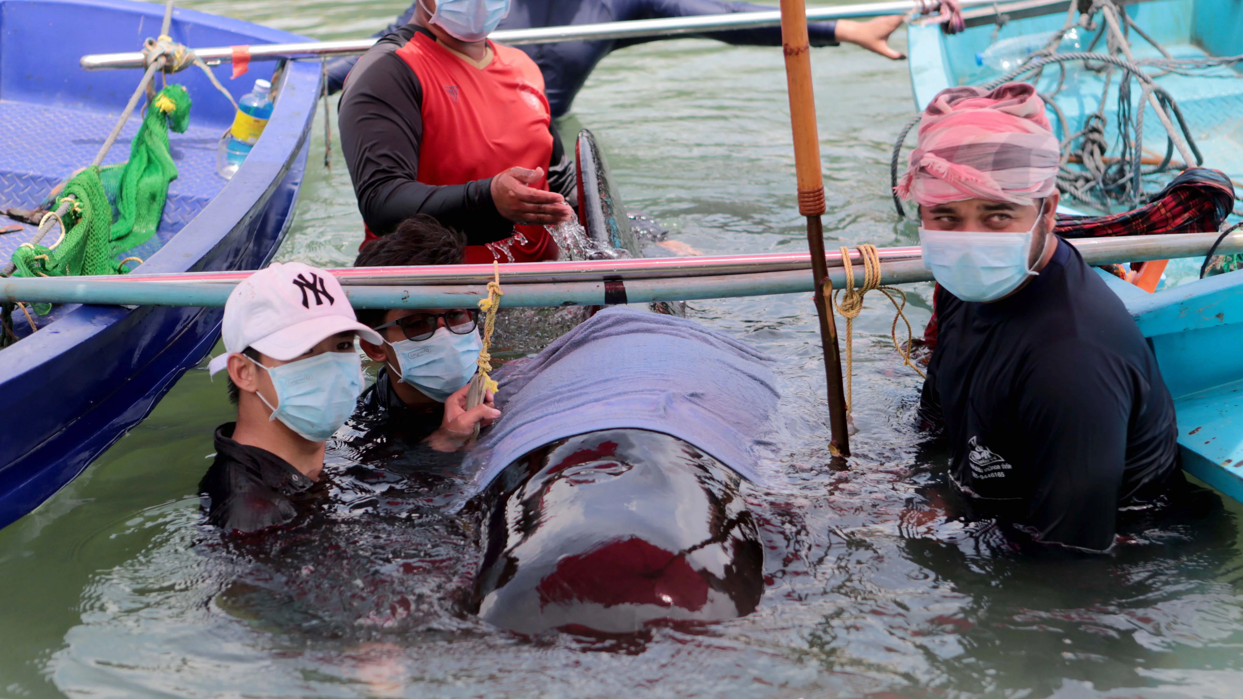 Muere una ballena en Tailandia tras tragarse ochenta bolsas de plástico