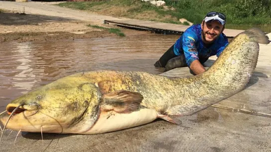 El pescador con el siluro El pescador con el siluro
