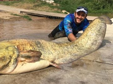 El pescador con el siluro El pescador con el siluro