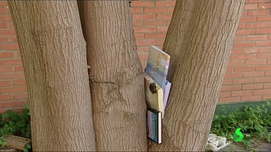 La 'bibliogarden': una nueva manera de disfrutar de la lectura La 'bibliogarden': una nueva manera de disfrutar de la lectura