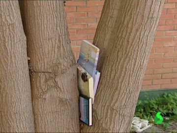 La 'bibliogarden': una nueva manera de disfrutar de la lectura La 'bibliogarden': una nueva manera de disfrutar de la lectura