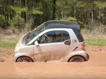 smart fortwo E.D smart fortwo E.D