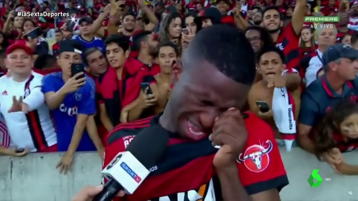 ViniciusL6D