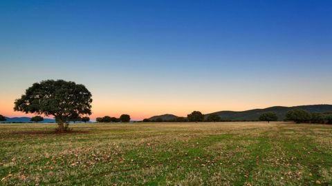 Descubre la naturaleza en Ciudad Real