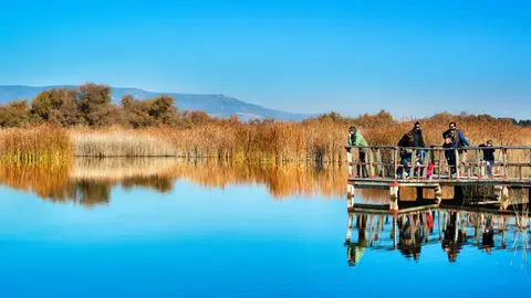Parque Nacional Las Tablas de Daimiel Descubre la naturaleza en Ciudad Real