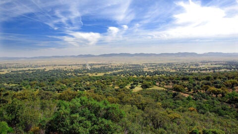 Descubre la naturaleza en Ciudad Real