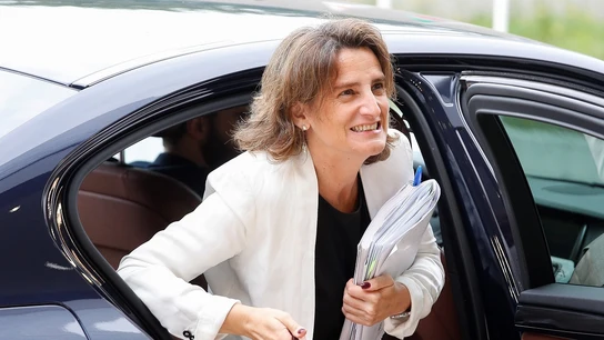 La ministra Teresa Ribera La ministra Teresa Ribera
