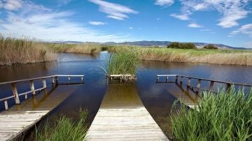 Parque Nacional Las Tablas de Daimiel