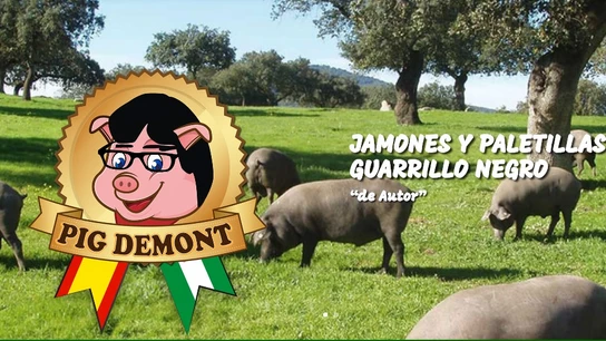 Logo de la página web de Pig demont Logo de la página web de Pig demont