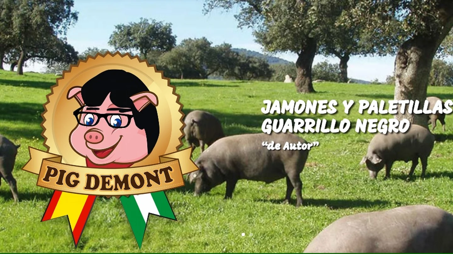 Logo de la página web de Pig demont Logo de la página web de Pig demont