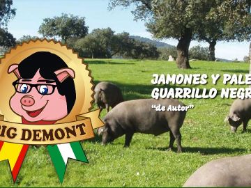 Logo de la página web de Pig demont Logo de la página web de Pig demont