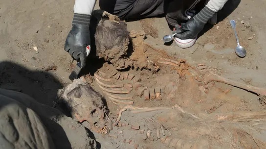 Momento en el que encuentran a 111 niños sacrificados por una cultura preinca en una nueva excavación en Perú Momento en el que encuentran a 111 niños sacrificados por una cultura preinca en una nueva excavación en Perú