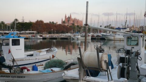 Noche de San Juan en Palma