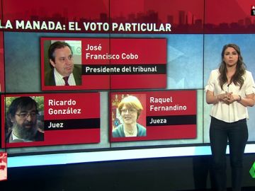 Estos son los argumentos del único juez en contra de dejar en libertad a 'La Manada': usó casi la mitad del auto para expresarse Estos son los argumentos del único juez en contra de dejar en libertad a 'La Manada': usó casi la mitad del auto para expresarse