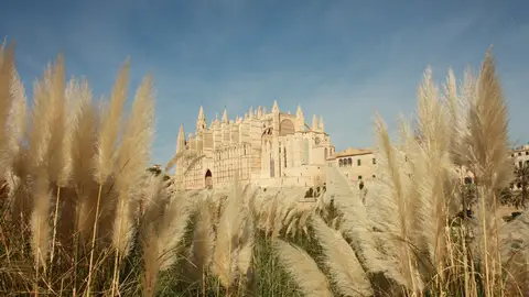 Catedral de Palma Cita con la historia en el corazón de Palma