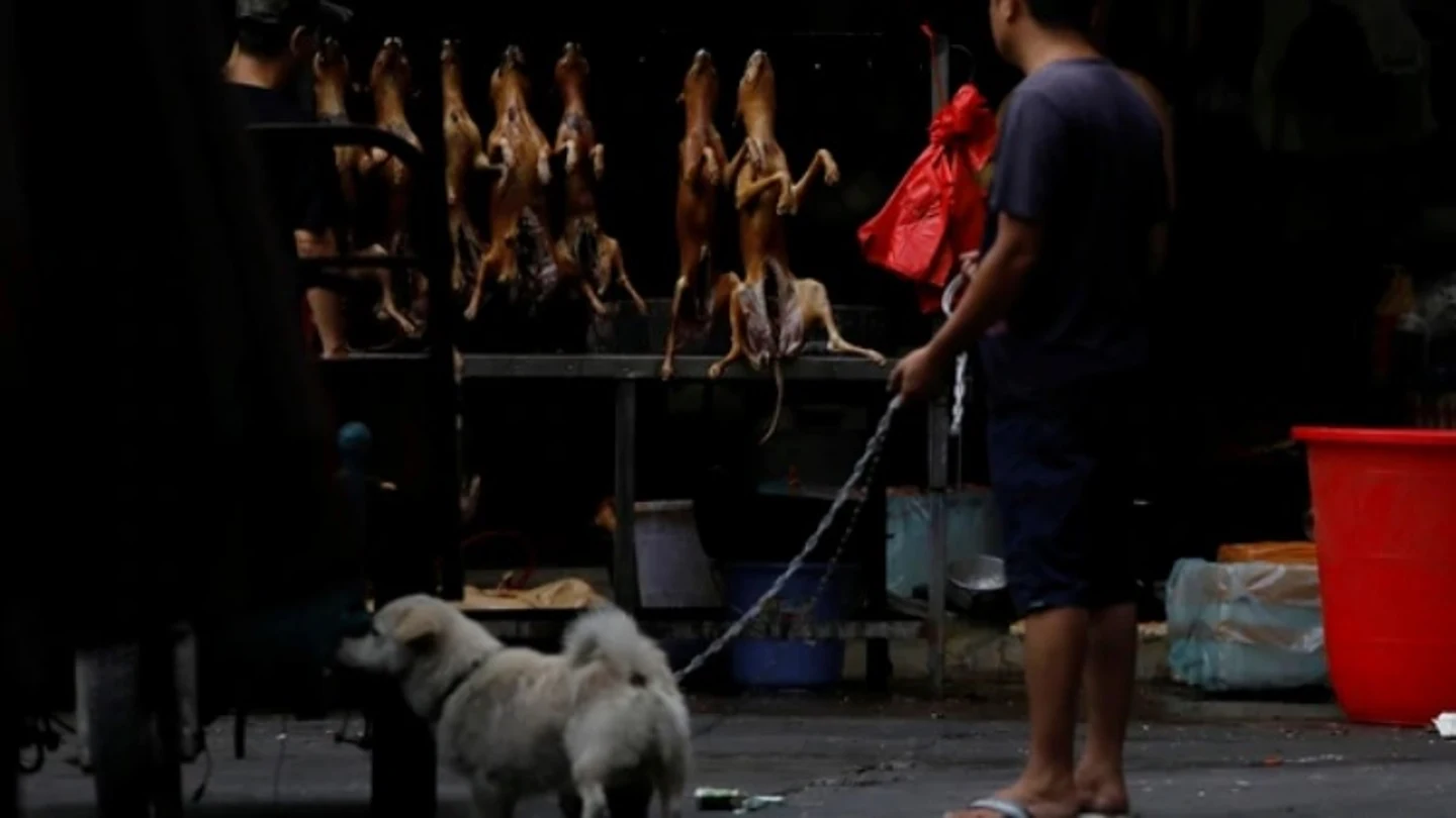 El festival del perro de Yulin El festival del perro de Yulin