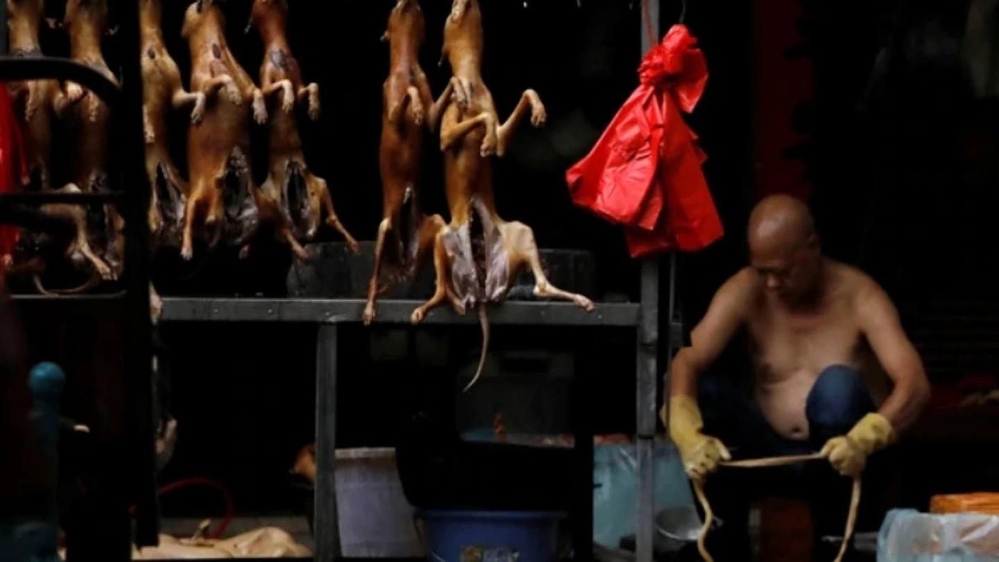 El festival del perro de Yulin El festival del perro de Yulin