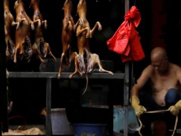El festival del perro de Yulin El festival del perro de Yulin