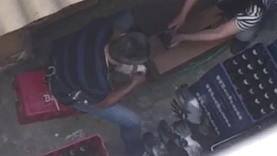 Imagen del vídeo en el que los trabajadores matan palomas Imagen del vídeo en el que los trabajadores matan palomas