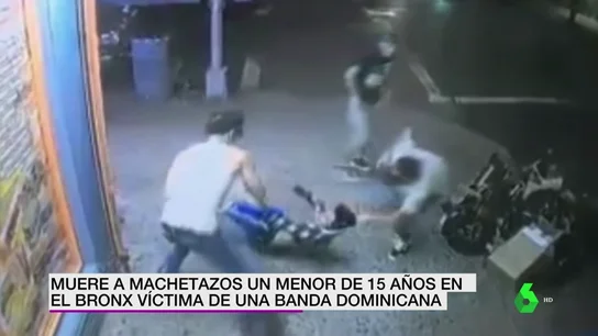 Tragedia en el Bronx: 12 miembros de los Trinitarios matan a machetazos a un joven de solo 15 años Tragedia en el Bronx: 12 miembros de los Trinitarios matan a machetazos a un joven de solo 15 años