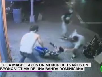 Tragedia en el Bronx: 12 miembros de los Trinitarios matan a machetazos a un joven de solo 15 años Tragedia en el Bronx: 12 miembros de los Trinitarios matan a machetazos a un joven de solo 15 años