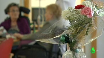 Flores en un hospital