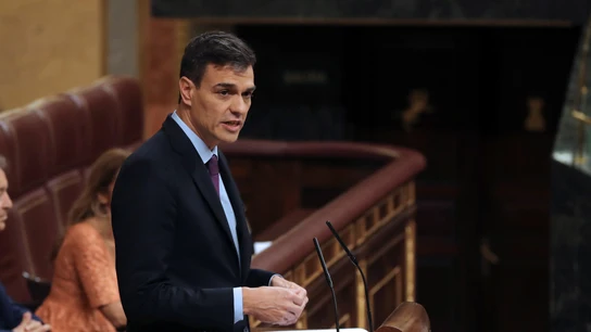 El presidente del Gobierno, Pedro Sánchez, durante su comparecencia en el Congreso El presidente del Gobierno, Pedro Sánchez, durante su comparecencia en el Congreso