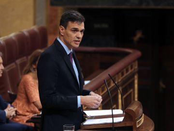 El presidente del Gobierno, Pedro Sánchez, durante su comparecencia en el Congreso El presidente del Gobierno, Pedro Sánchez, durante su comparecencia en el Congreso