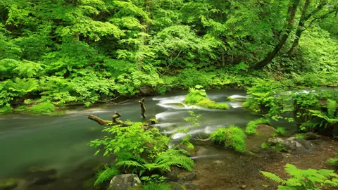 Hachimantai-Onuma La región más legendaria de Japón
