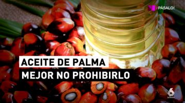 Prohibir el aceite de palma es una mala idea