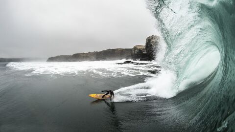 Punta de Lobos, Chile
