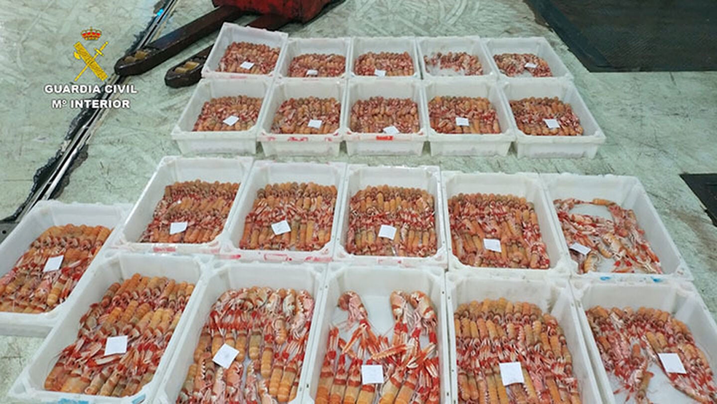 Imagen de cigalas incautadas