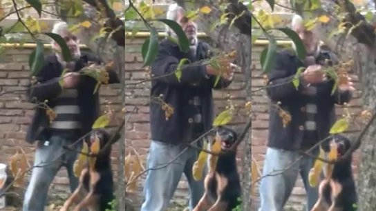 Un hombre ahorcando a su perro. Un hombre ahorcando a su perro.