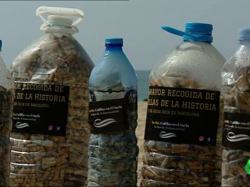 Comienza la mayor recogida de colillas para denunciar el peligro medioambiental Comienza la mayor recogida de colillas para denunciar el peligro medioambiental