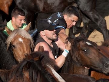 En Sabucedo, Pontevedra, se celebra la tradicional 'A Rapa Das Bestes' En Sabucedo, Pontevedra, se celebra la tradicional 'A Rapa Das Bestes'