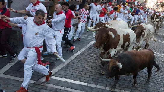 Los toros de la ganadería Cebada Gago protagonizan el tercer encierro de los Sanfermines en Pamplona. Los toros de la ganadería Cebada Gago protagonizan el tercer encierro de los Sanfermines en Pamplona.