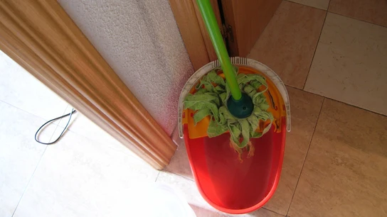 Una fregona Una fregona