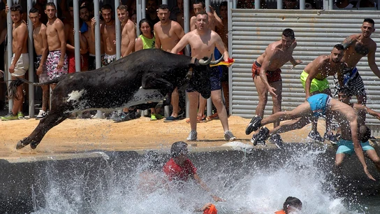 Bous a la Mar Bous a la Mar