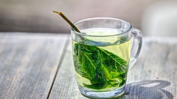 Té verde