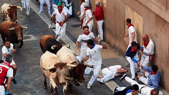 Los toros de la ganadería gaditana de Cebada Gago al final de la cuesta de Santo Domingo Los toros de la ganadería gaditana de Cebada Gago al final de la cuesta de Santo Domingo