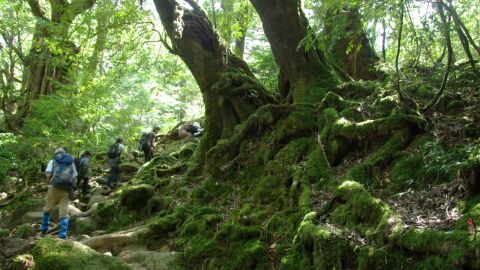 5 actividades al aire libre para disfrutar de este verano en Japón 