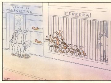 Paco Catalán, el dibujante que denuncia el maltrato animal con sus viñetas Paco Catalán, el dibujante que denuncia el maltrato animal con sus viñetas
