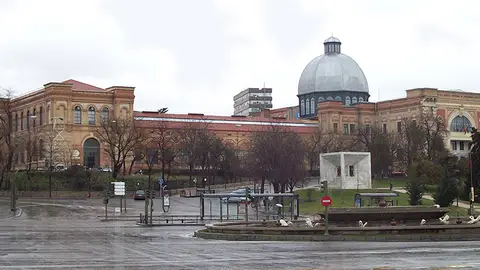 Museo Nacional de Ciencias Naturales Estos son los museos que no te puedes perder en tu visita a Madrid
