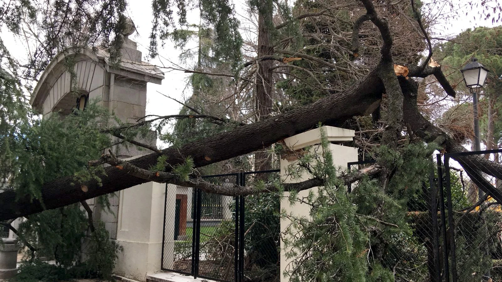 Imagen del lugar en el que un niño de cuatro años murió tras caerle un árbol encima en el parque del Retiro, en Madrid