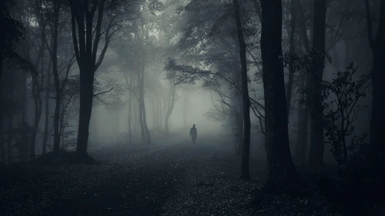 paranormal bosque